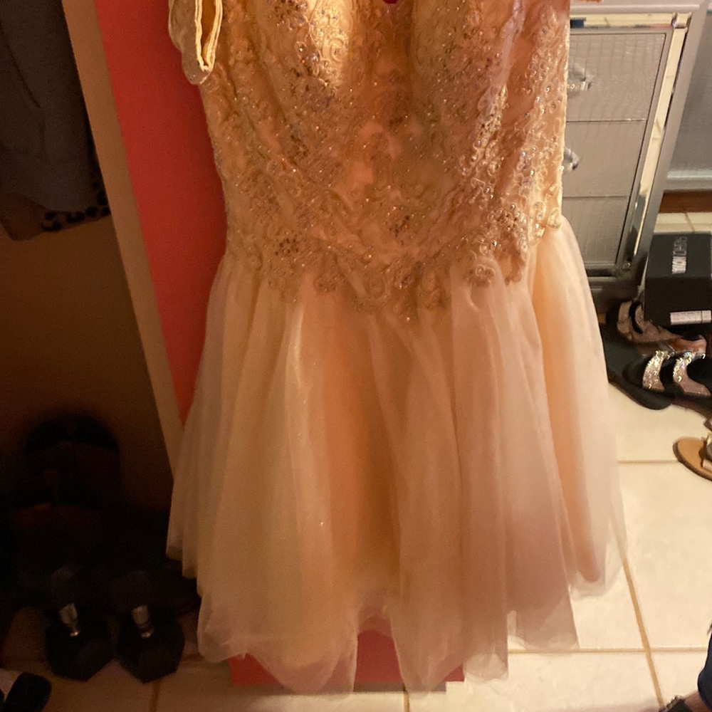 Cinderella beige short dress